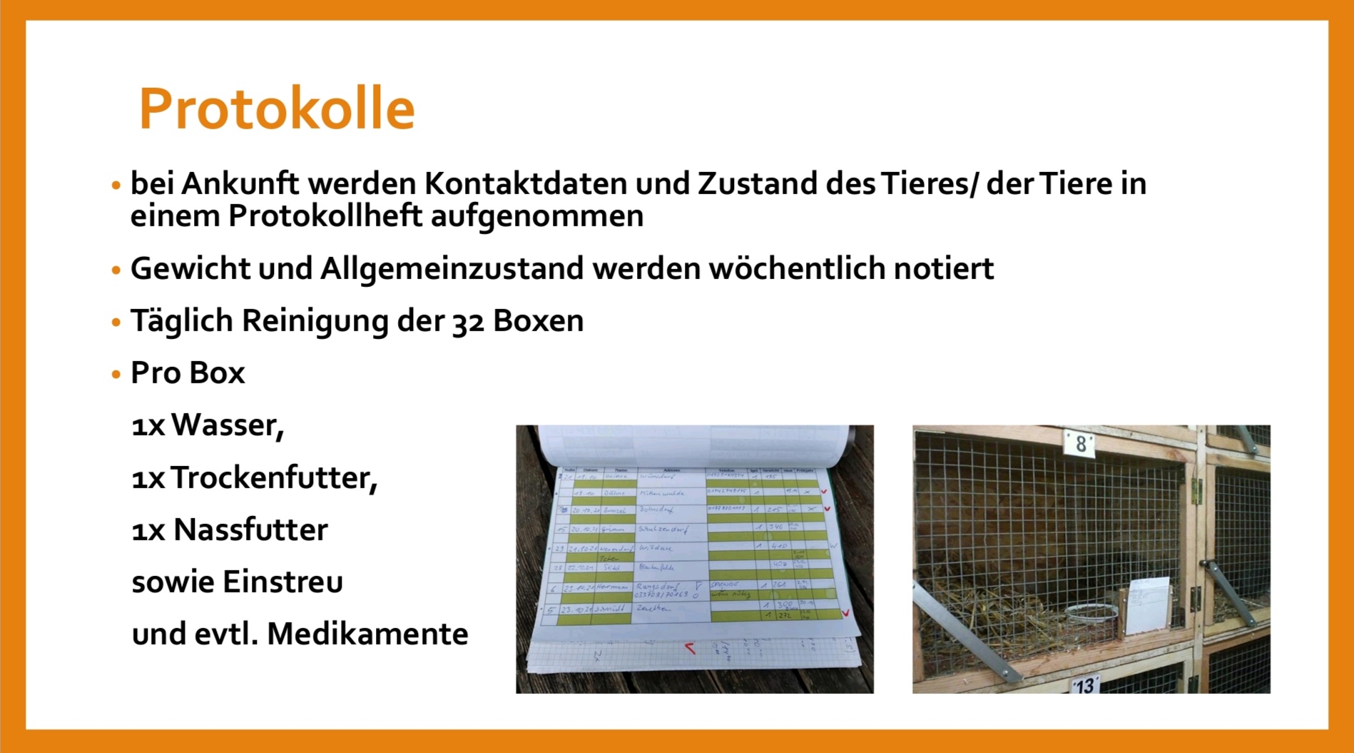 Entstehung der Igelstation